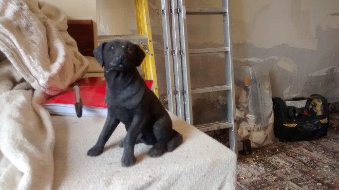 IMG_20170720_131003220